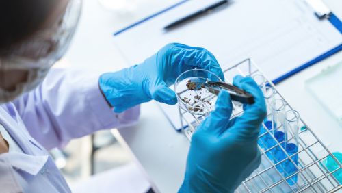 Secteur Life Sciences